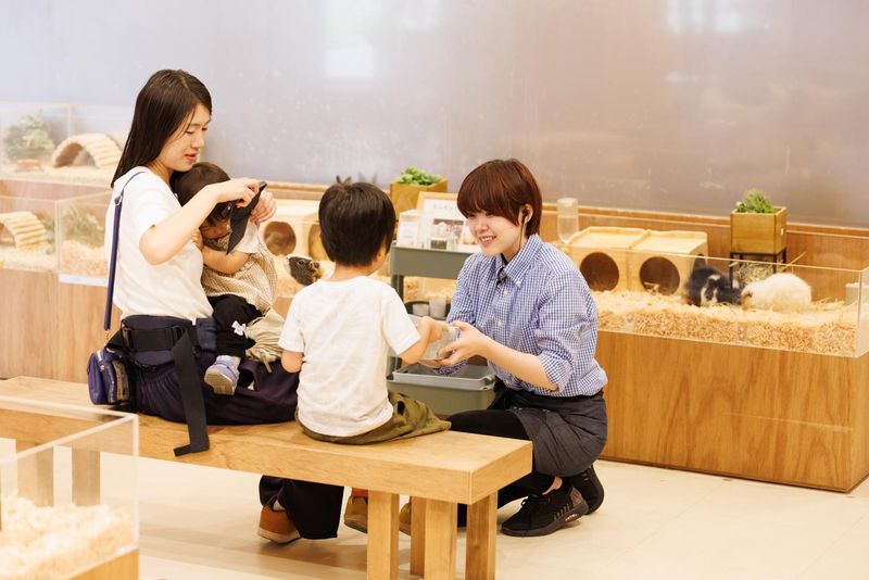 Moff animal cafe ららぽーと安城店のアルバイト・バイト求人情報-10