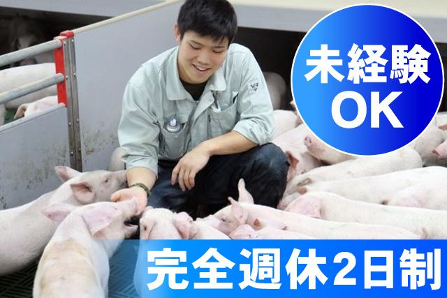 株式会社ジェリービーンズのアルバイト・バイト求人情報-05