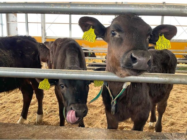 株式会社清友ファームの求人・転職情報