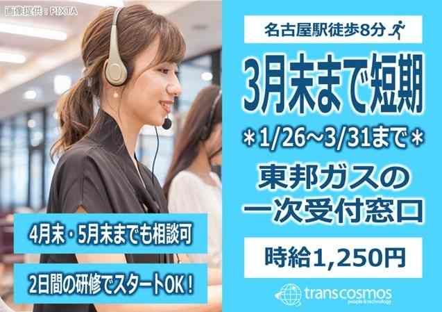 トランスコスモス株式会社の求人・転職情報