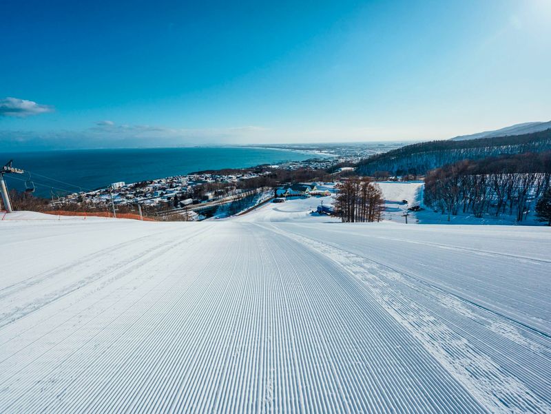 株式会社SNOW PARK RESORT北海道スノー クルーズ オーンズの求人情報