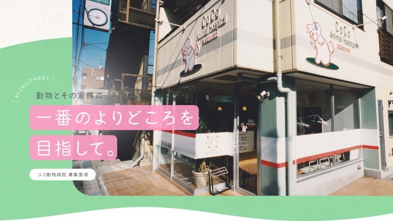 有限会社ココの求人・転職情報