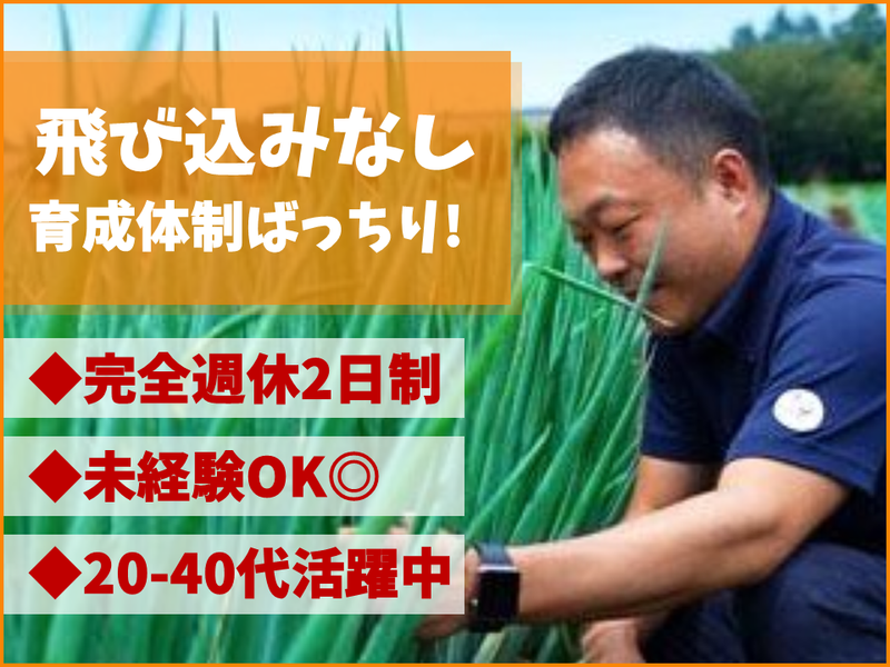 株式会社あらきの求人・転職情報