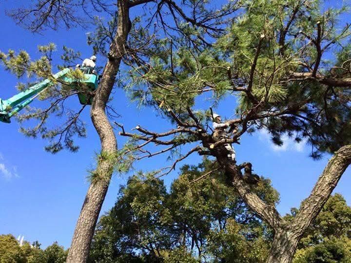 株式会社７Ｃ　Ａｃｔの求人・転職情報