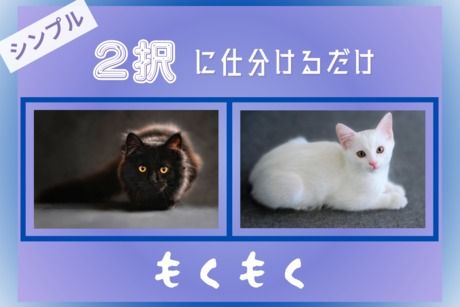 株式会社ヒューマンアイズの求人・転職情報