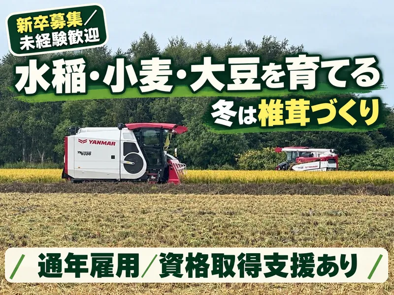 有限会社ほなみの求人・転職情報