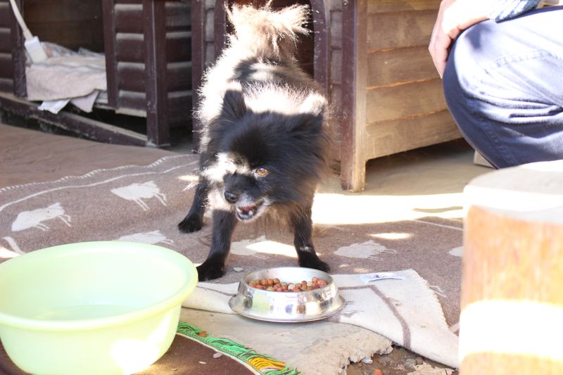 社会福祉法人三愛学園　児童養護施設さんあいのアルバイト・バイト求人情報-05
