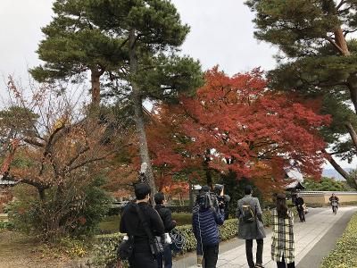 ＢＵＤＤＹ株式会社の求人・転職情報