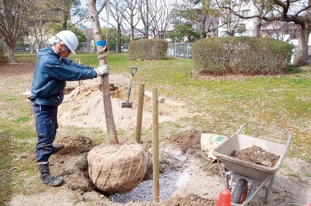 角野造園土木株式会社の求人・転職情報