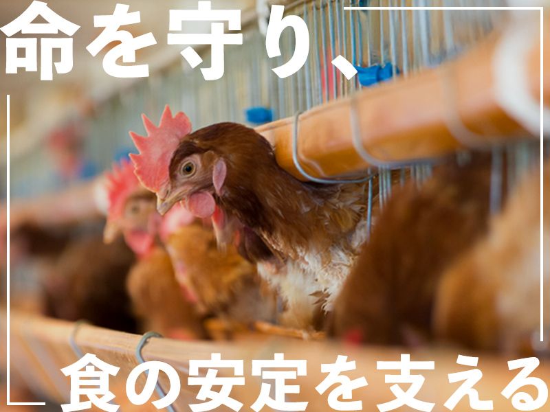 有限会社上野養鶏場の求人・転職情報