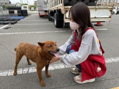 タイヤショップ早野　もとす本店のアルバイト・バイト求人情報-02