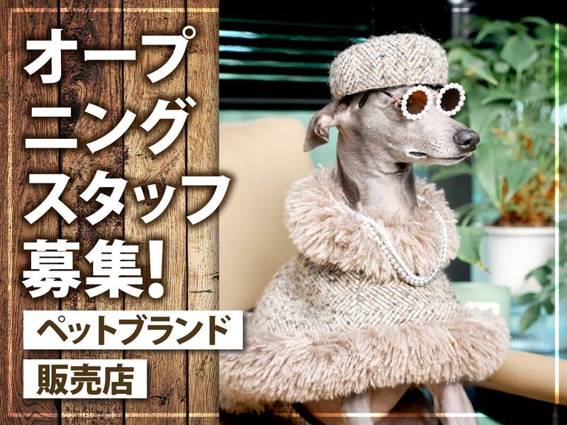 Belltree株式会社の求人・転職情報