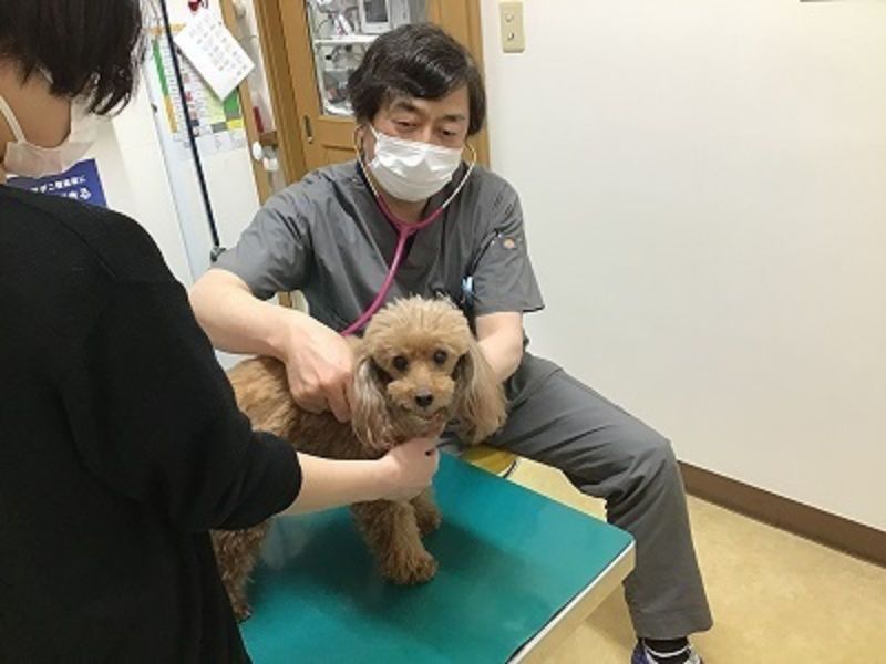 有限会社ぱんだ動物病院のアルバイト・バイト求人情報-02