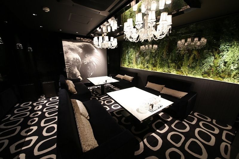 INSOU CENTRAL株式会社-0001の求人・転職情報