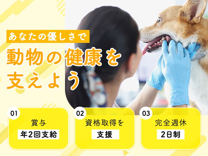 みらいず動物病院の求人・転職情報