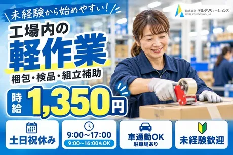 株式会社デルタソリューションズのアルバイト・バイト求人情報