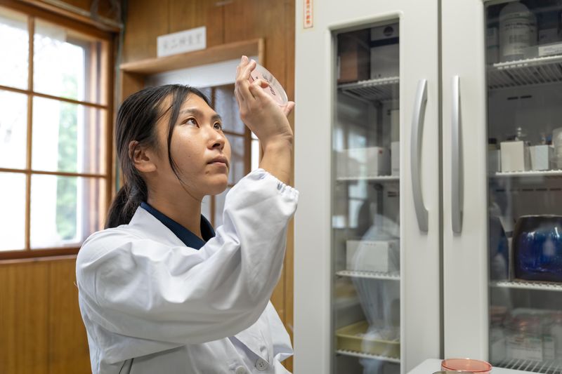 小岩井農牧株式会社