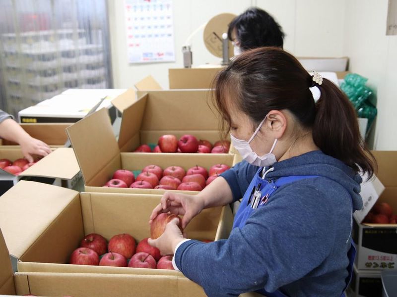 株式会社トキオ福岡のアルバイト・バイト求人情報-02