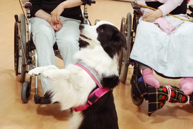 社会福祉法人友愛会　障がい者支援施設　茨木療護園の求人・転職情報