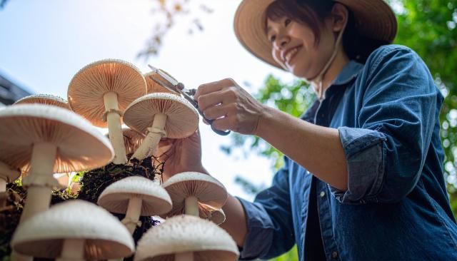 株式会社NCI　南魚沼支店のアルバイト・バイト求人情報-35