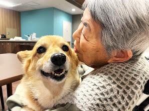社会福祉法人きらめき会の求人・転職情報