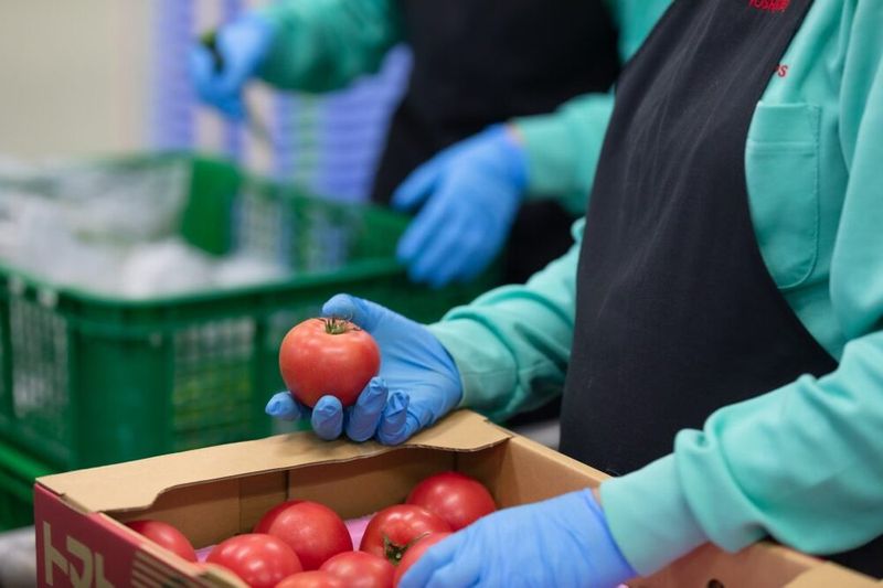 株式会社ヨシケイ宮城の派遣求人情報