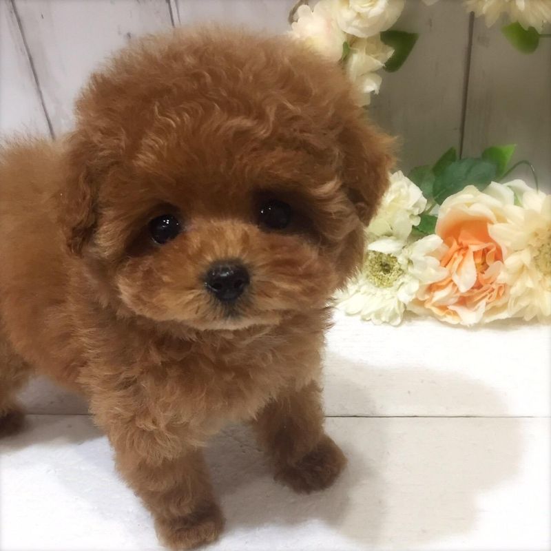 スーパービバホーム長久手店のアルバイト・バイト求人情報-02