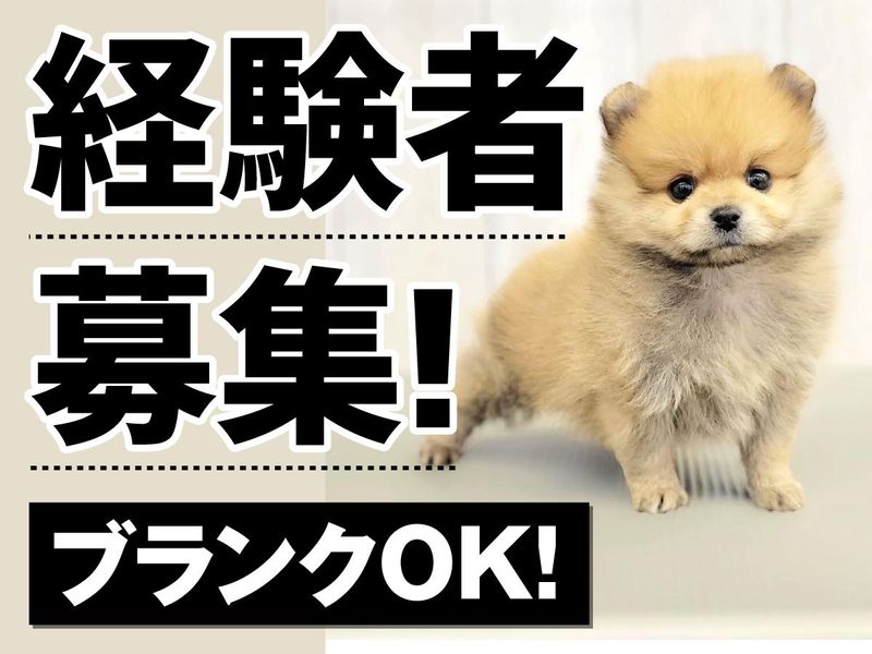 株式会社SAYONOの求人・転職情報