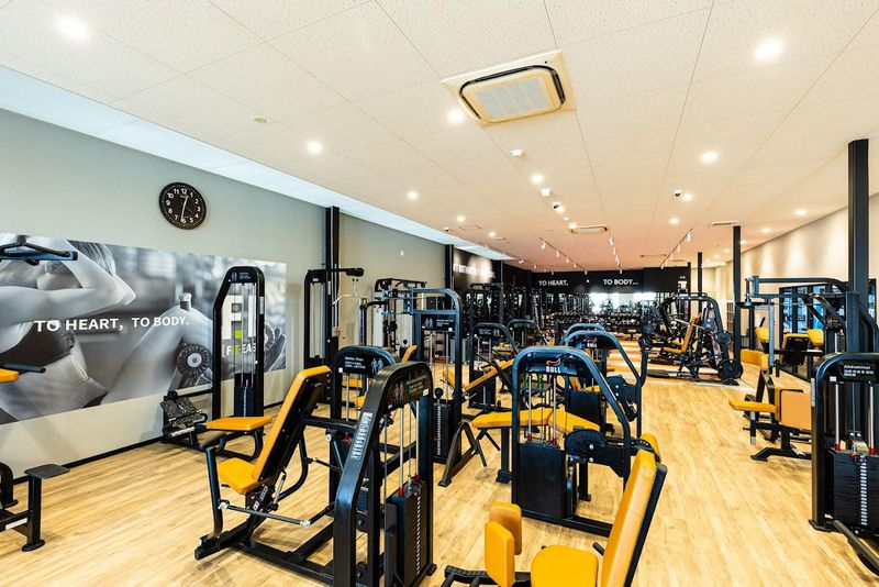 フィットイージー 岐阜河渡店(株式会社G・EXCEED)の派遣求人情報