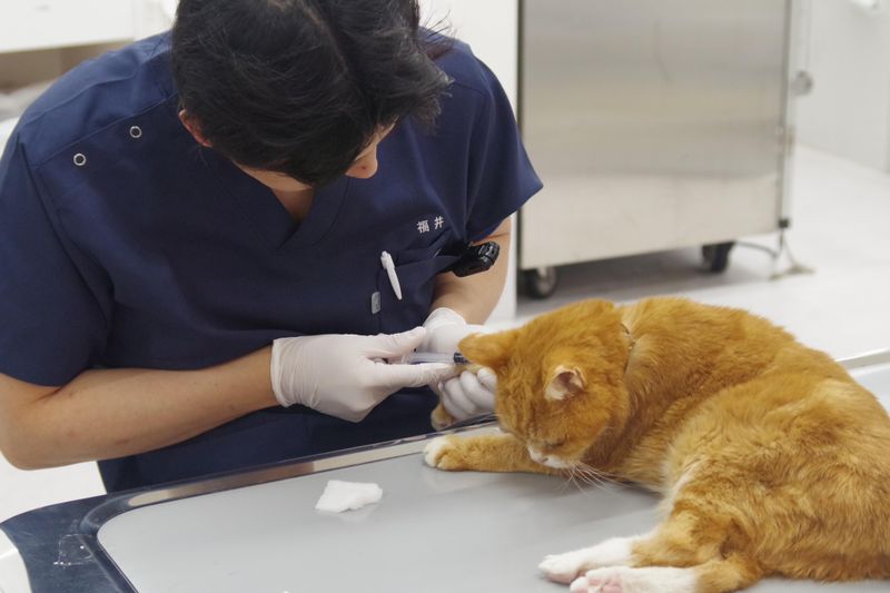 株式会社福井獣医科病院のアルバイト・バイト求人情報-03