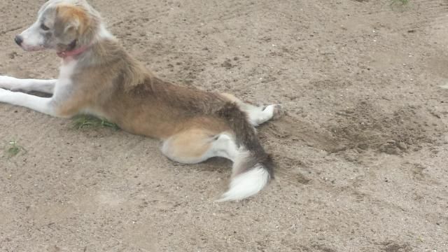 協和警備保障株式会社の求人・転職情報