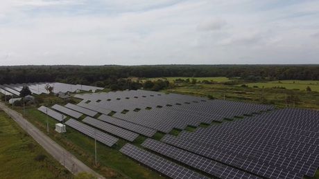 PNF JAPAN株式会社の求人・転職情報