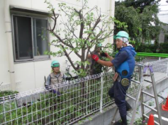 株式会社本橋造園の求人・転職情報