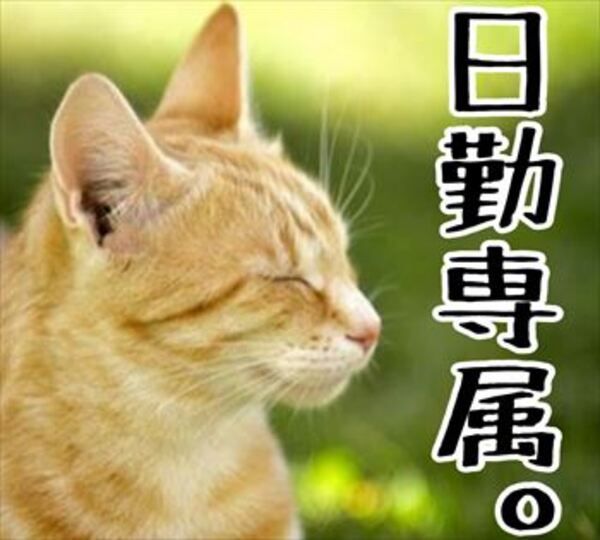 株式会社ワールドプランのアルバイト・バイト求人情報-18