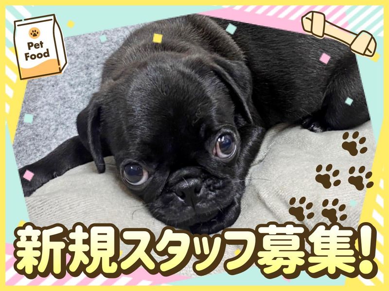 ペットワールドアミーゴ西条店のアルバイト・バイト求人情報-03