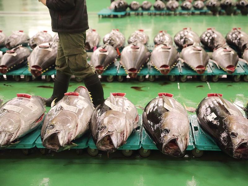 魚錠水産株式会社の求人・転職情報