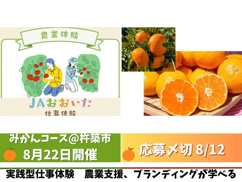 大分県農業協同組合