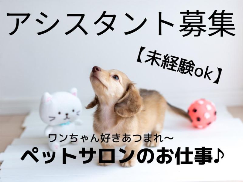 ペットサロン　ラブドックスの求人・転職情報