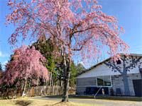 京都大原パブリックコースのアルバイト・バイト求人情報-03