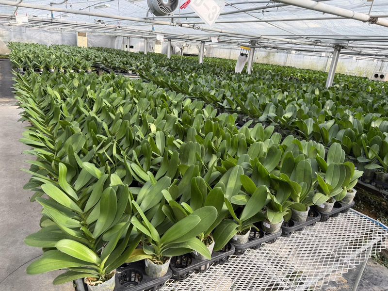 株式会社リーフのアルバイト・バイト求人情報-04