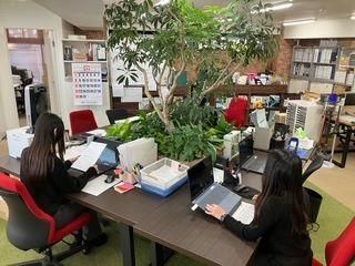 BILLS株式会社の求人・転職情報