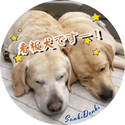 有限会社三輝電気-0002の求人・転職情報