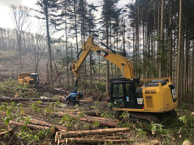 株式会社細畑林業の求人・転職情報