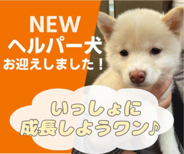 有限会社ニコニコ介護センターのアルバイト・バイト求人情報-02