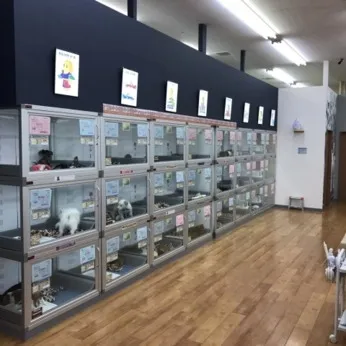 株式会社Coo&RIKU東日本の求人・転職情報