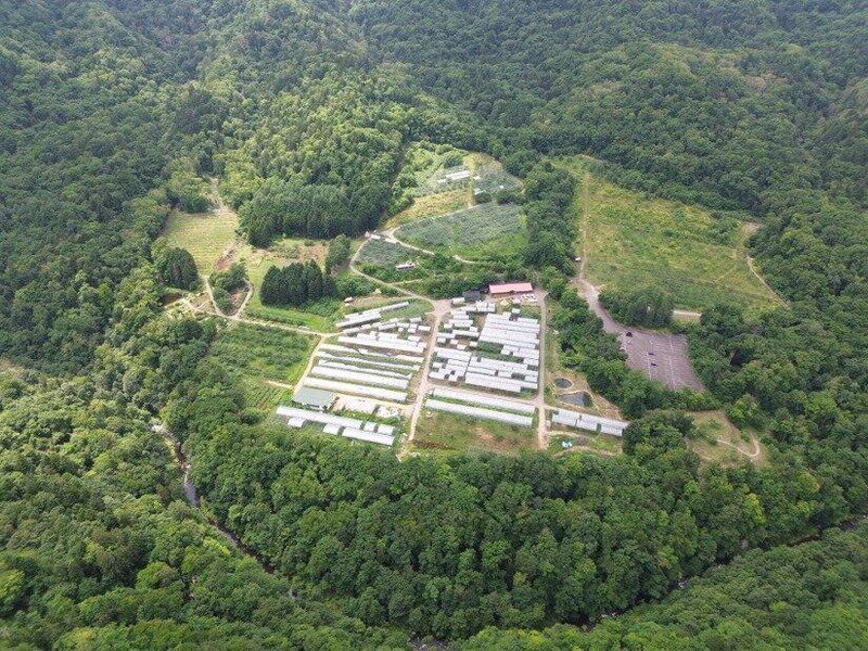 長谷川ファーム北海道株式会社の求人・転職情報