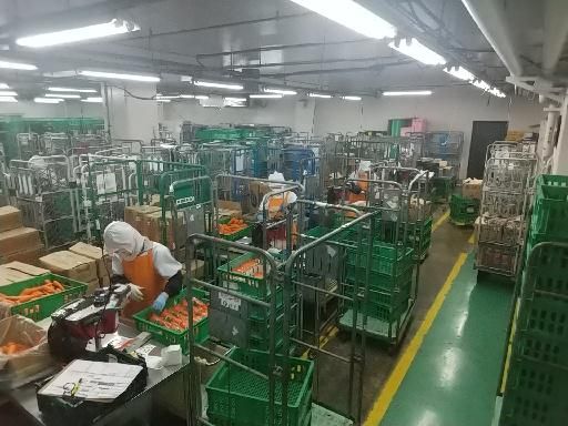 朝日青果株式会社のアルバイト・バイト求人情報-02
