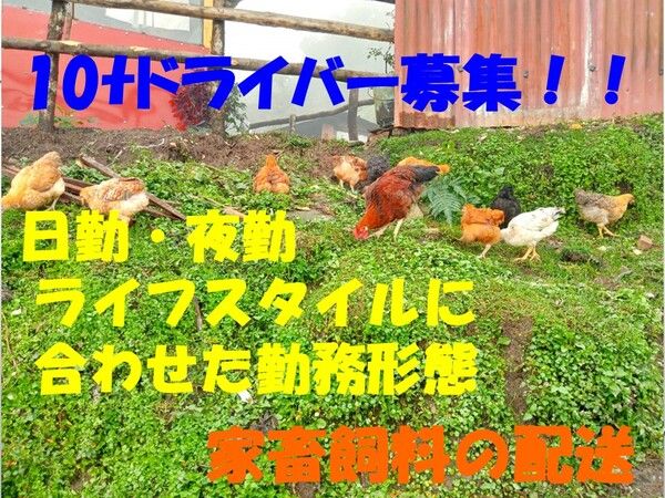 サンレックス株式会社の求人・転職情報