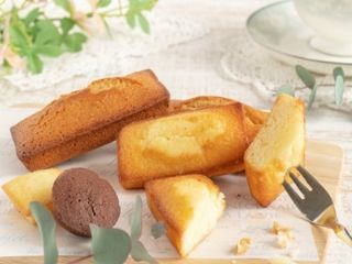 フィールドサーブジャパン 営業第1グループの派遣求人情報