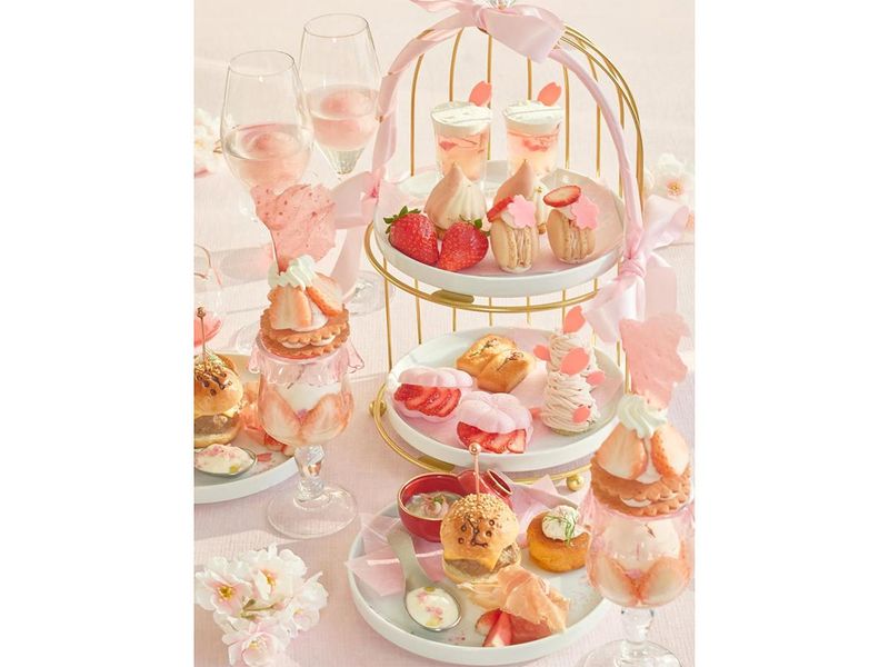 株式会社バルニバービウィルワークスの求人・転職情報